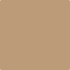 Benjamin Moore's paint color 1124 Saddle Tan