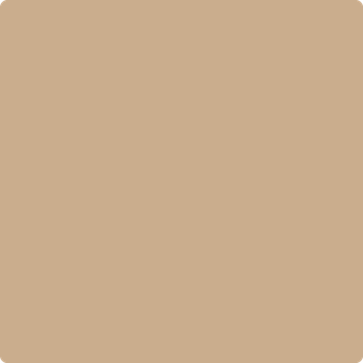 Benjamin Moore's paint color 1129 Hidden Oaks