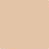 Benjamin Moore's paint color 1137 Sycamore