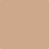 Benjamin Moore's paint color 1153 Dearborn Tan