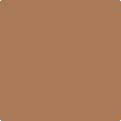 Benjamin Moore's paint color 1155 Cappuccino Muffin