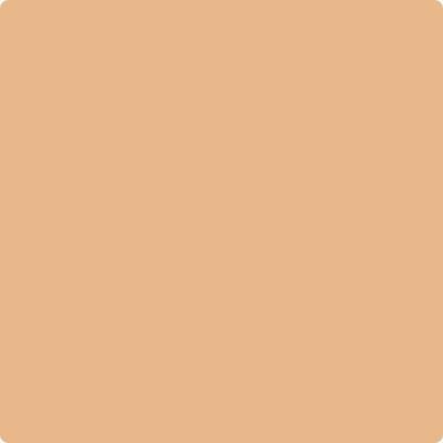 Benjamin Moore's paint color 117 Persian Melon