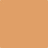 Benjamin Moore's paint color 118 Grand Canyon
