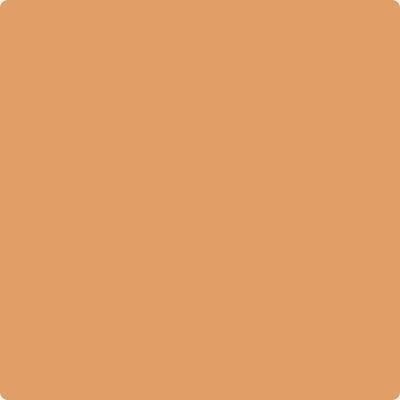 Benjamin Moore's paint color 118 Grand Canyon