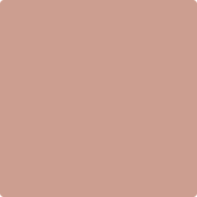 Benjamin Moore's paint color 1188 Palmetto Pink