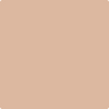 Benjamin Moore's paint color 1206 Outer Banks
