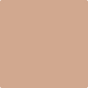 Benjamin Moore's paint color 1207 San Carlos Tan