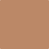 Benjamin Moore's paint color 1221 Potter's Clay
