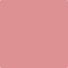 Benjamin Moore's paint color 1285 Pink Buff