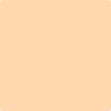 Benjamin Moore's paint color 129 Tangerine Mist