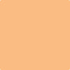 Benjamin Moore's paint color 131 Seville Oranges