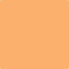 Benjamin Moore's paint color 132 Tangerine Zing