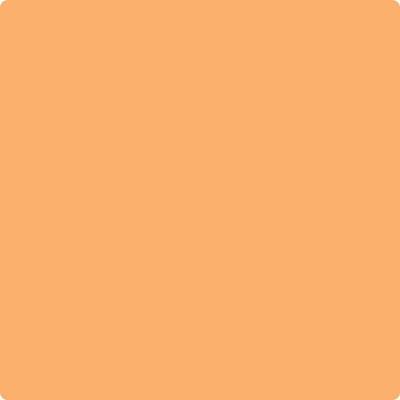 Benjamin Moore's paint color 132 Tangerine Zing