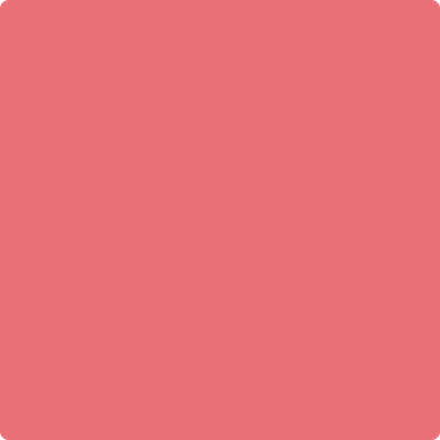 Benjamin Moore's paint color 1320 Florida Pink