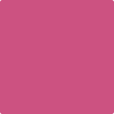 Benjamin Moore's paint color 1348 Razzle Dazzle