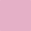 Benjamin Moore's paint color 1354 Wild Heart