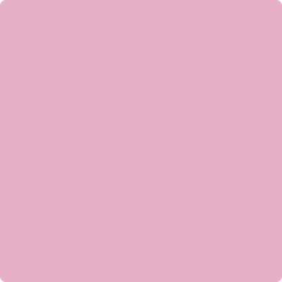 Benjamin Moore's paint color 1354 Wild Heart