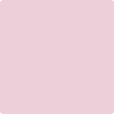 Benjamin Moore's paint color 1360 Misty Rose