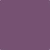 Benjamin Moore's paint color 1372 Ultra Violet