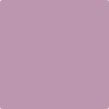 Benjamin Moore's paint color 1377 Caribbean Sunset