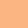 Benjamin Moore's paint color 138 Vivid Beauty