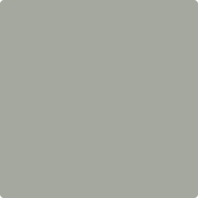 Benjamin Moore's paint color 1482 Sabre Gray