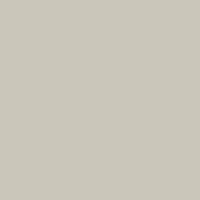 Benjamin Moore's paint color 1485 Brushed Aluminium
