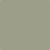 Benjamin Moore's paint color 1496 Raintree Green