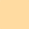 Benjamin Moore's paint color 151 Orange Froth