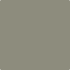 Benjamin Moore's paint color 1560 Antique Pewter