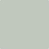 Benjamin Moore's paint color 1570 Gray Wisp