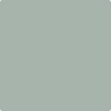 Benjamin Moore's paint color 1572 Raindance