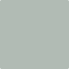Benjamin Moore's paint color 1578 Iced Marble