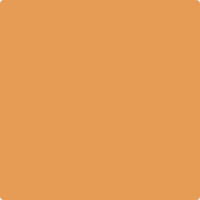 Benjamin Moore's paint color 161 Brilliant Amber