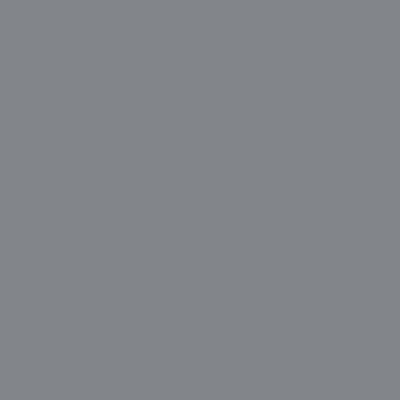Benjamin Moore's paint color 1615 Rock Gray