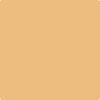 Benjamin Moore's paint color 166 Orange Ice