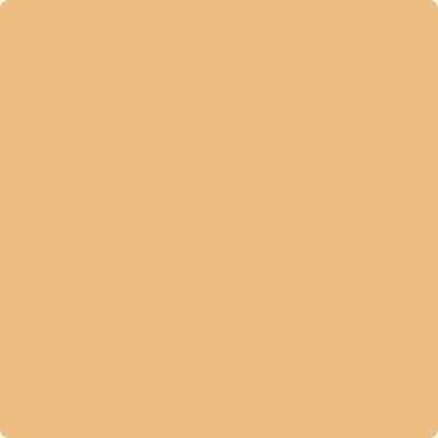 Benjamin Moore's paint color 166 Orange Ice