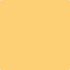 Benjamin Moore's paint color 172 Sunny Days