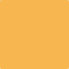Benjamin Moore's paint color 174 Sunflower Fields
