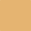 Benjamin Moore's paint color 188 Eye Of The Tiger