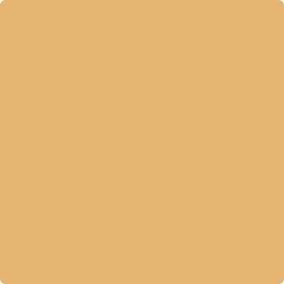 Benjamin Moore's paint color 188 Eye Of The Tiger