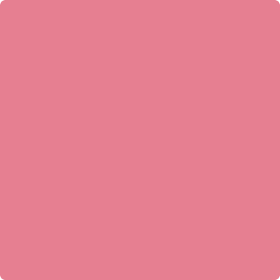 Benjamin Moore's paint color 2004-40 Pink Starburst available at Standard Paint & Flooring.