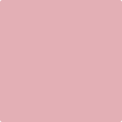 Benjamin Moore's paint color 2005-50 Pink Eraser available at Standard Paint & Flooring.