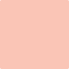 Benjamin Moore's paint color 2013-50 Salmon Peach available at Standard Paint & Flooring.