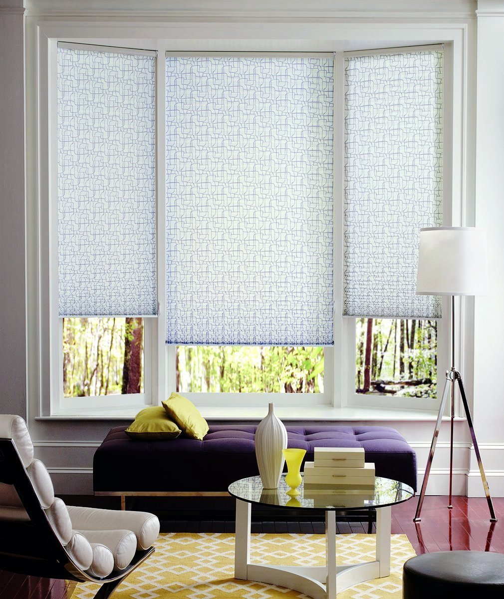 Hunter Douglas Window Treatments Pleated Shades Room