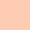 Benjamin Moore's paint color 2014-50 Springtime Peach available at Standard Paint & Flooring.