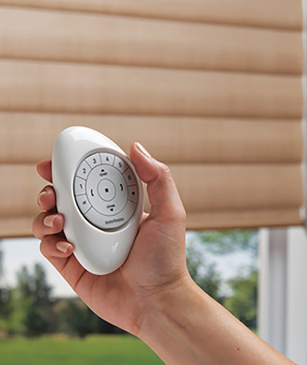 Hunter Douglas PowerView Pebble Remote Control | Standard Paint & Flooring