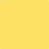 Benjamin Moore's paint color 2021-40 Yellow Highlighter available at Standard Paint & Flooring.