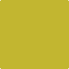 Benjamin Moore's paint color 2024-10 Chartreuse available at Standard Paint & Flooring.