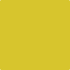 Benjamin Moore's paint color 2024-30 Citron available at Standard Paint & Flooring.